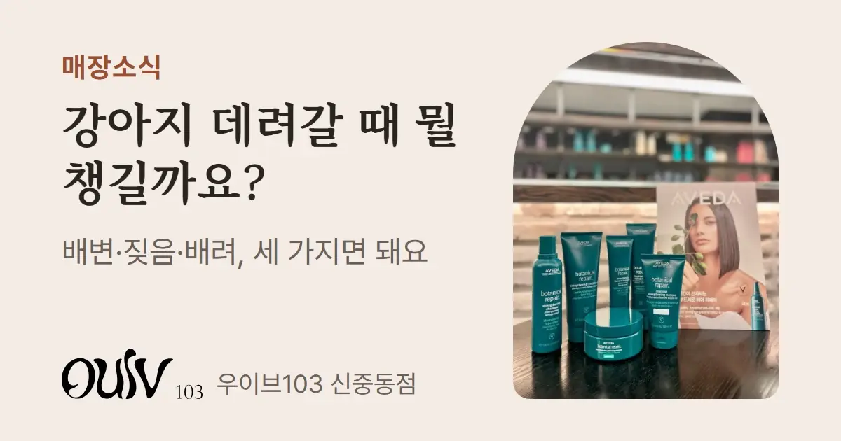 헤어 제품 사진 옆에 강아지 데려갈 때 뭘 챙길까요라고 적은 표지