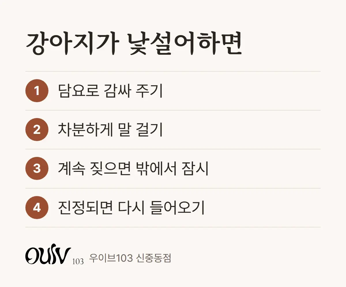 강아지가 낯설어할 때 대처하는 순서를 정리한 안내