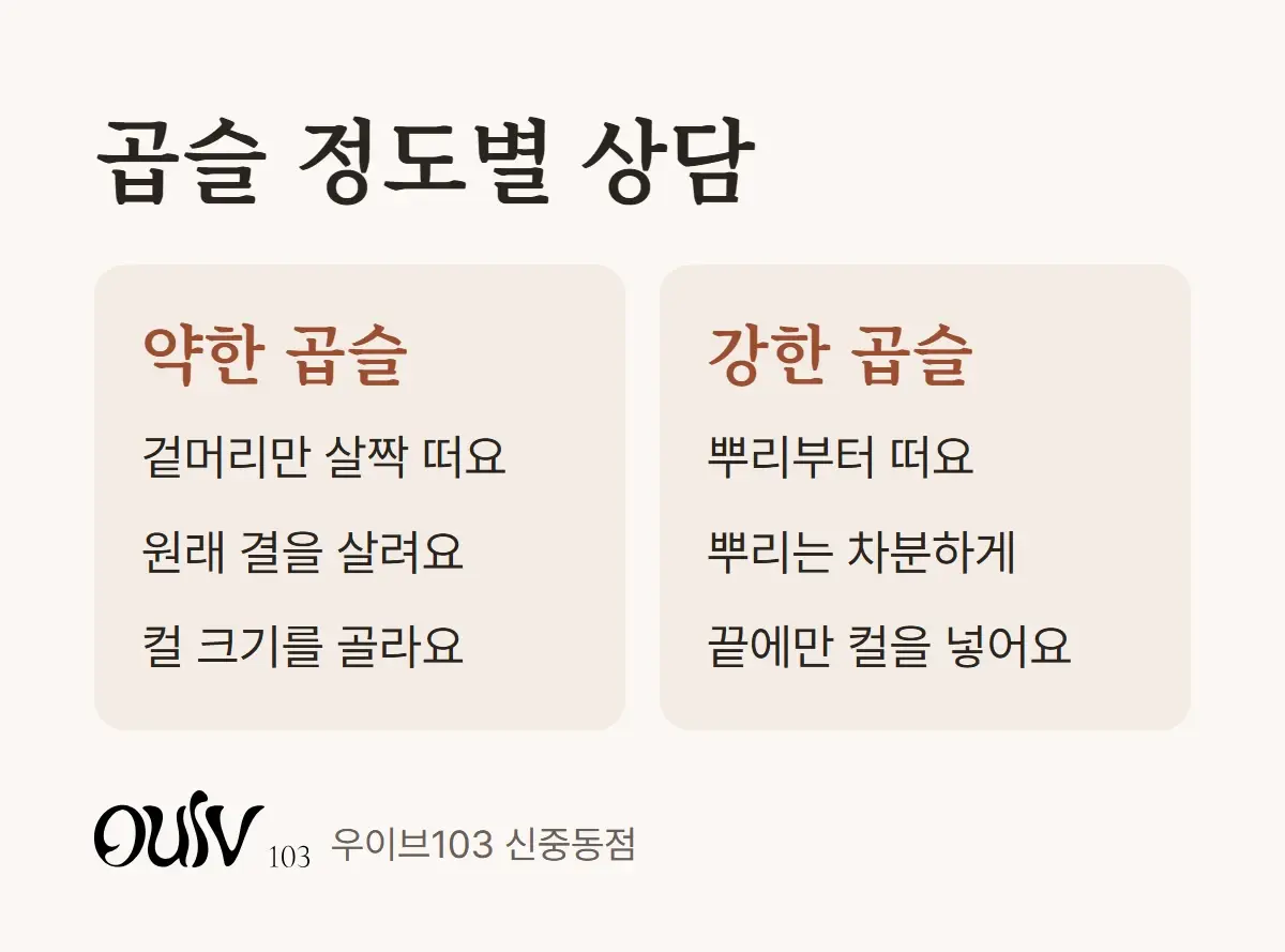 곱슬이 약할 때와 강할 때 레이어드펌을 어떻게 다르게 상담하는지 비교한 그림