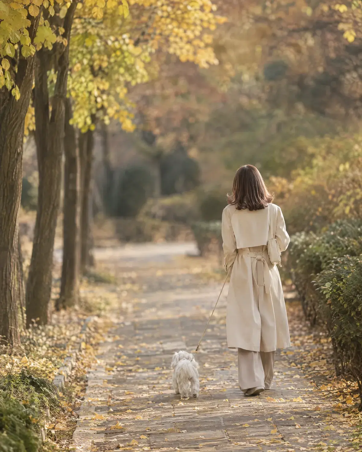 은행잎이 떨어진 가을 산책길에서 하얀 몰티즈와 걷는 어깨 길이 웨이브 머리 여성의 뒷모습